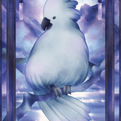 202409 秋花雪夜 王翌潔 插畫創作個展